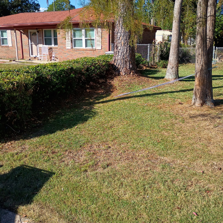 Home services in Pensacola, FL