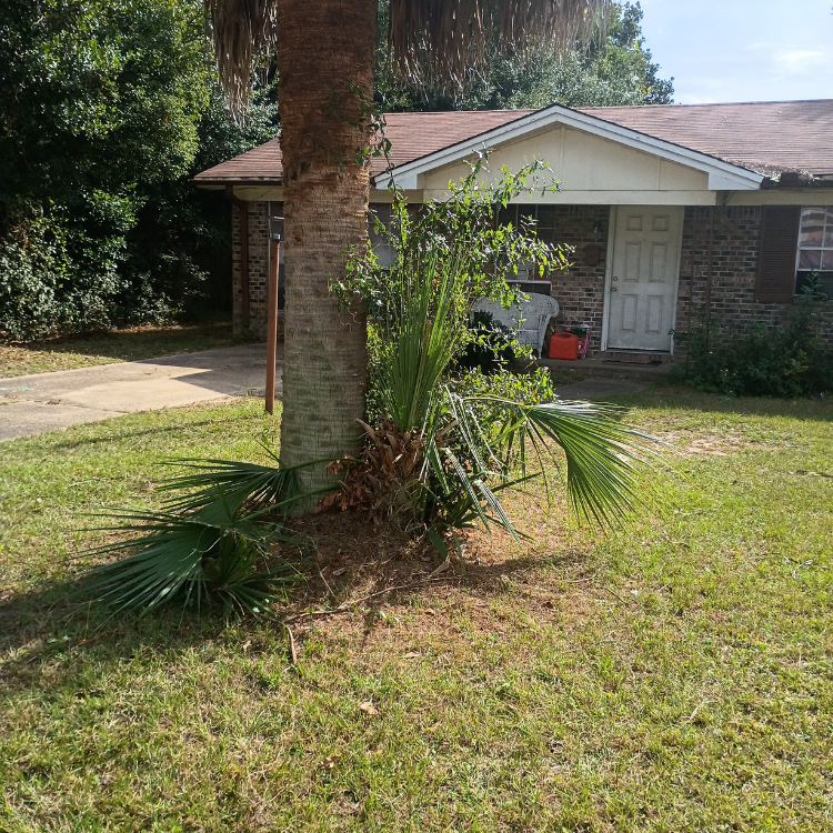 Home services in Pensacola, FL